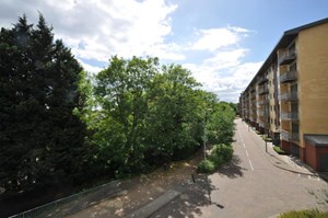 Photo6- click for photo gallery